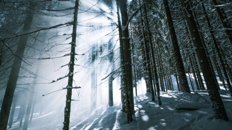 In Him there is No Darkness At All